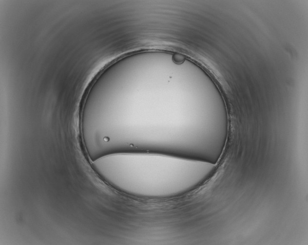 X0000111420891200907131018