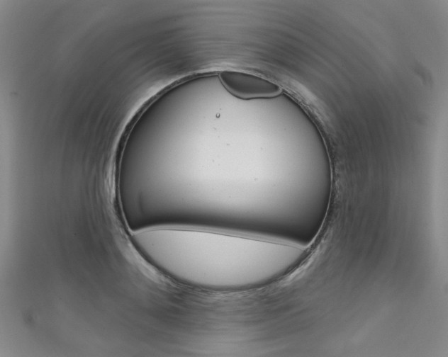 X0000111420892200907131018