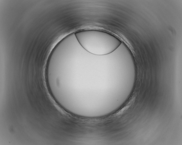 X0000111420893200907131018