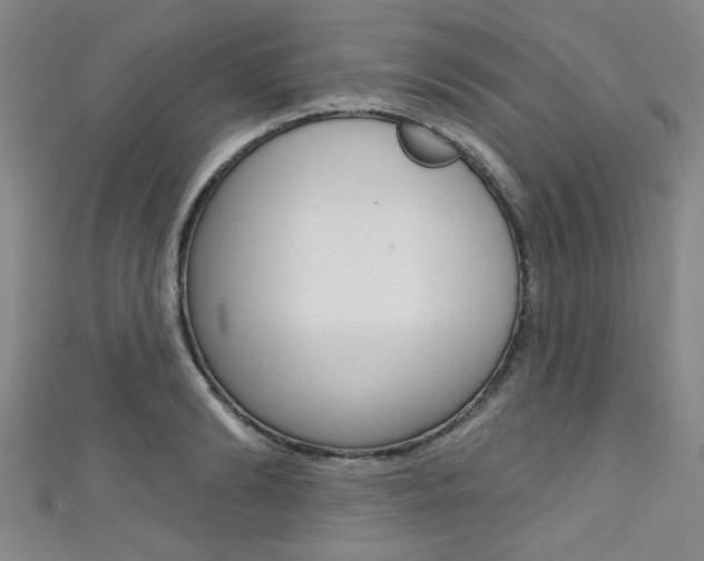 X0000111420894200907131018
