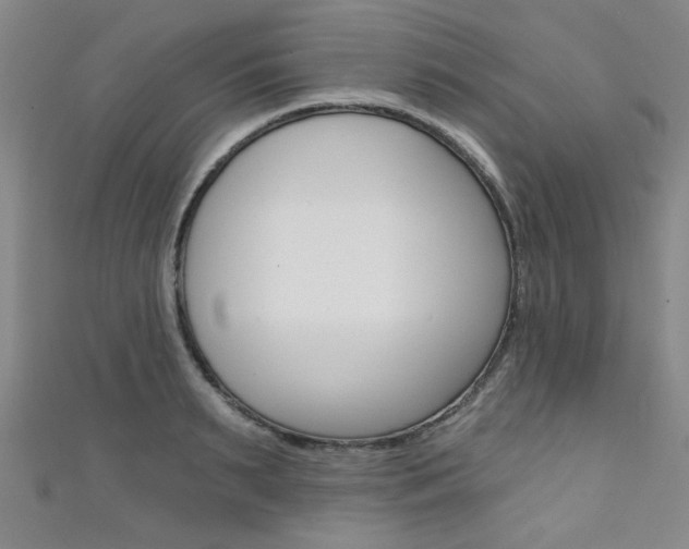 X0000111420895200907131018