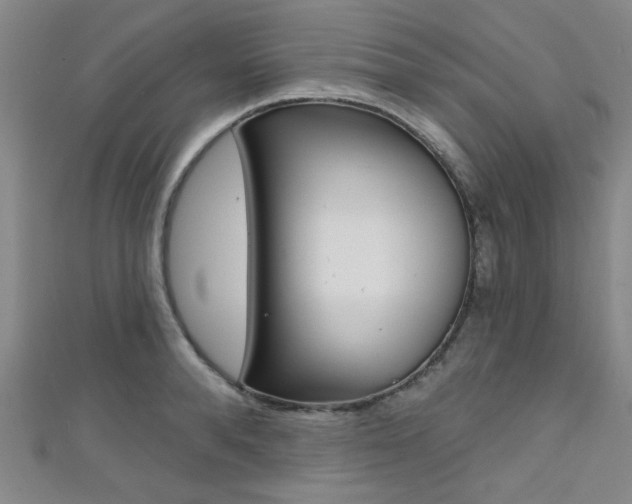 X0000111420896200907131018