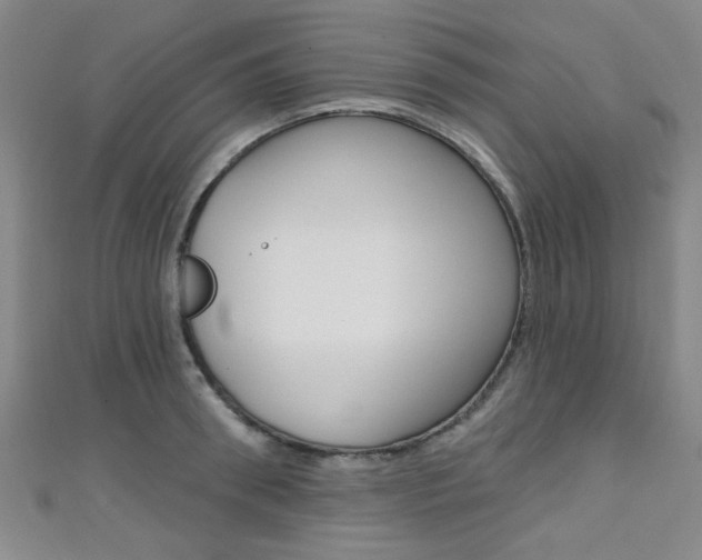 X0000111420898200907131018