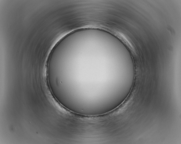 X0000111420900200907131017