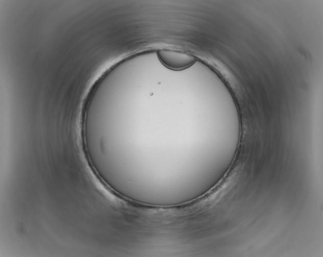 X0000111420902200907131017
