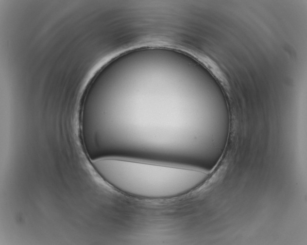 X0000111420904200907131017