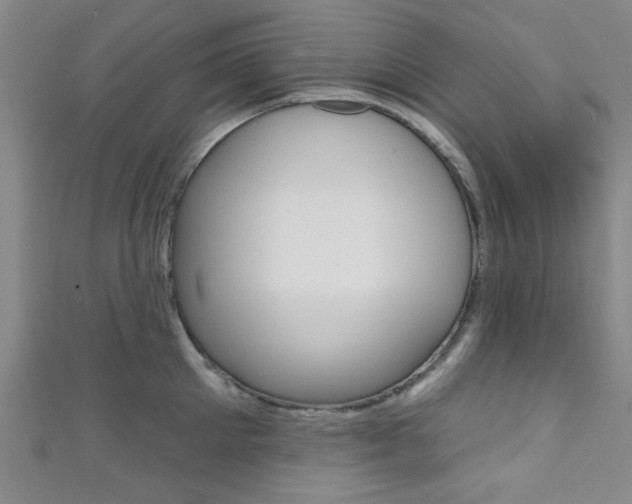 X0000111420905200907131017