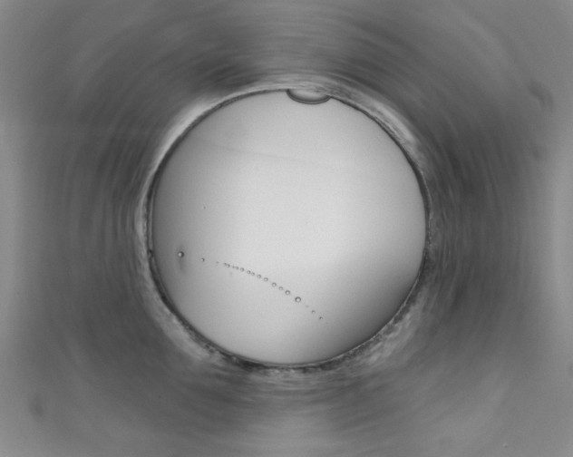 X0000111420907200907131017