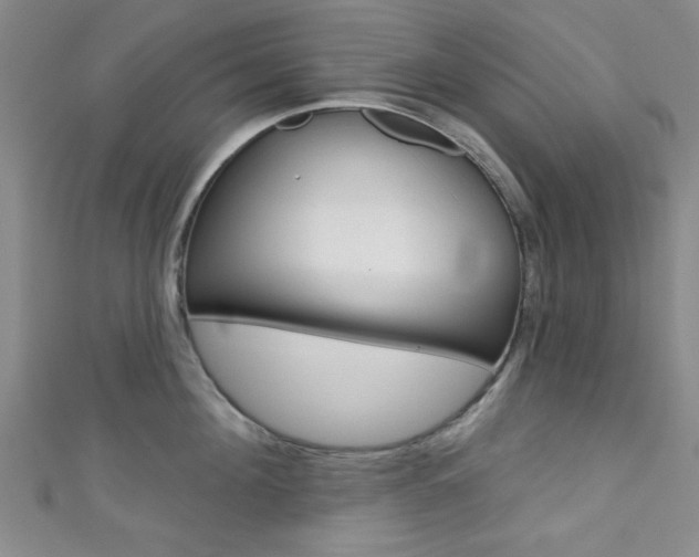 X0000111420908200907131017