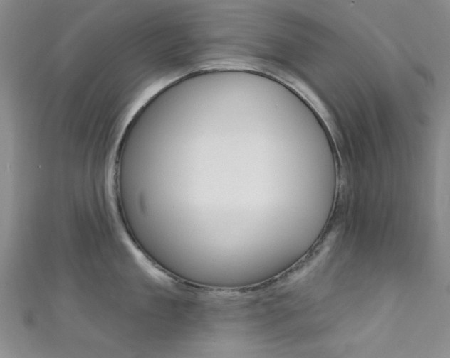 X0000111420909200907131017