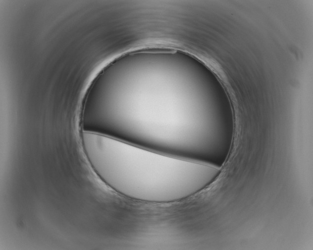 X0000111420912200907131017