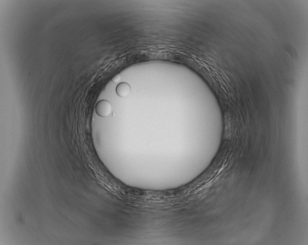 X0000111420913200907131017