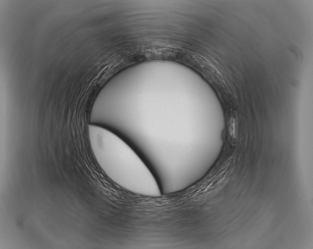 X0000111420915200907131017