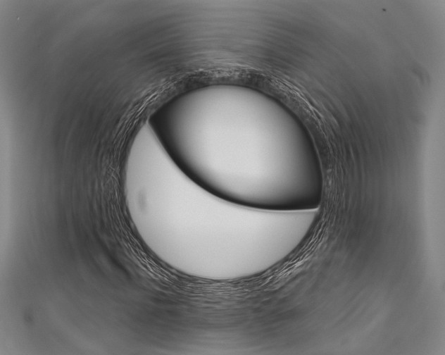 X0000111420916200907131017