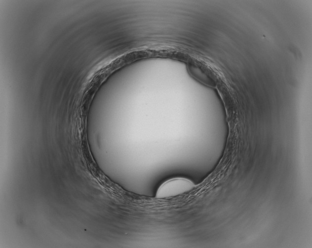 X0000111420920200907131017