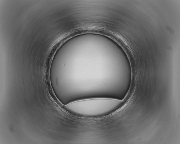 X0000111420922200907131017