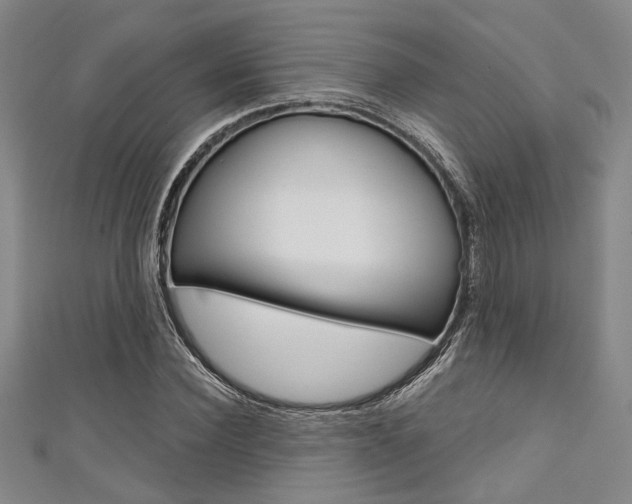 X0000111420924200907131017