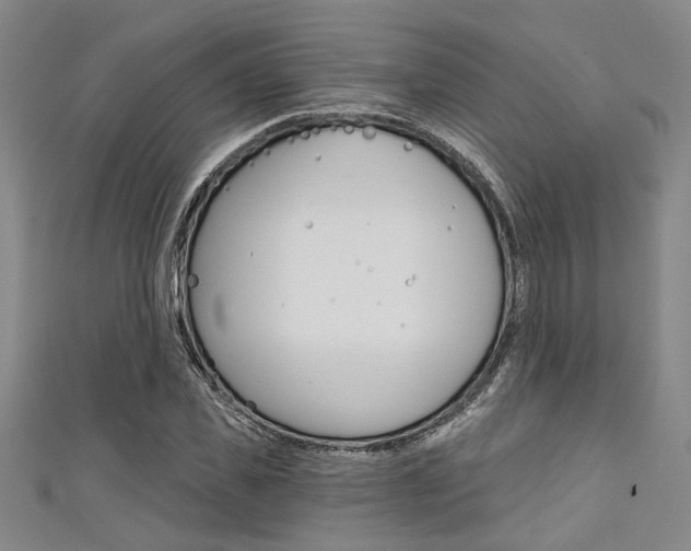 X0000111420925200907131017