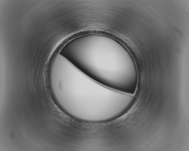 X0000111420926200907131017
