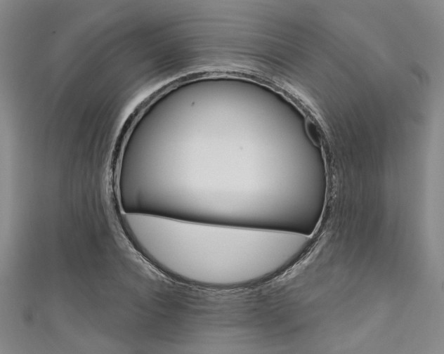X0000111420928200907131017