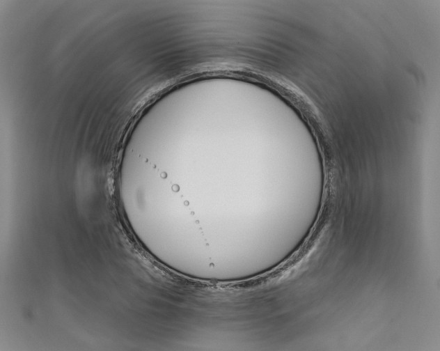 X0000111420929200907131017