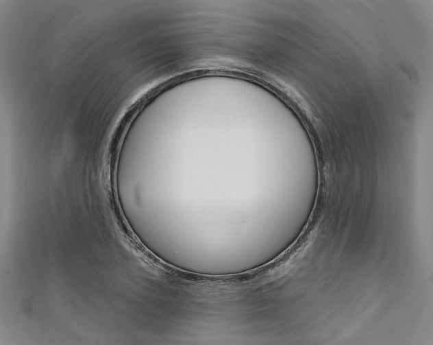 X0000111420931200907131017