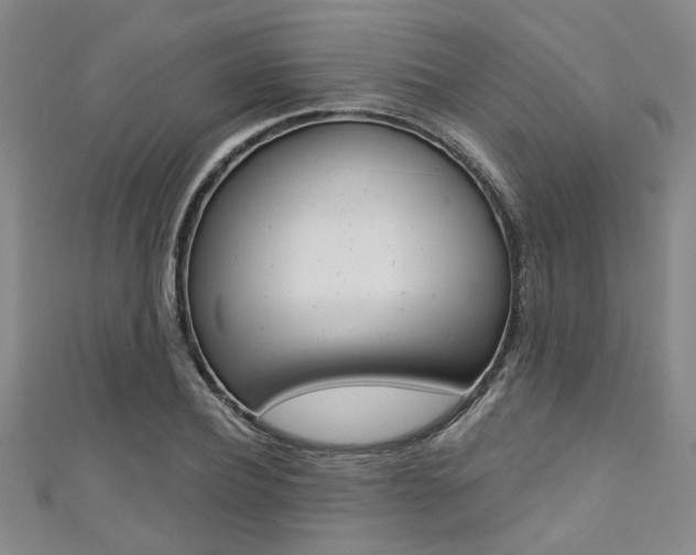X0000111420932200907131017