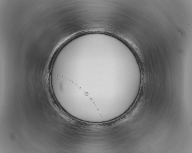 X0000111420933200907131017
