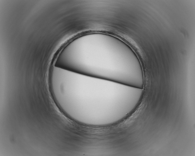 X0000111420935200907131017