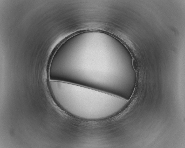 X0000111420936200907131017