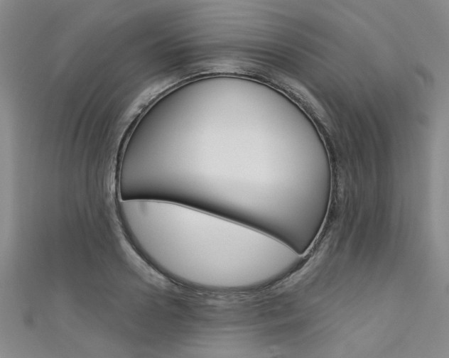 X0000111420938200907131017
