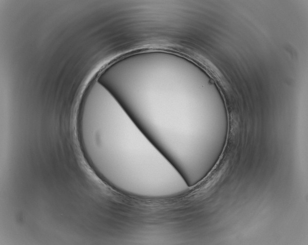 X0000111420939200907131017