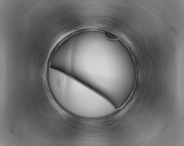 X0000111420940200907131017