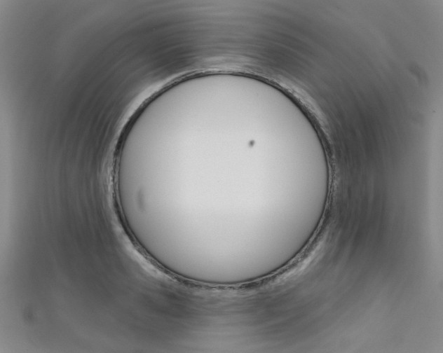 X0000111420941200907131017