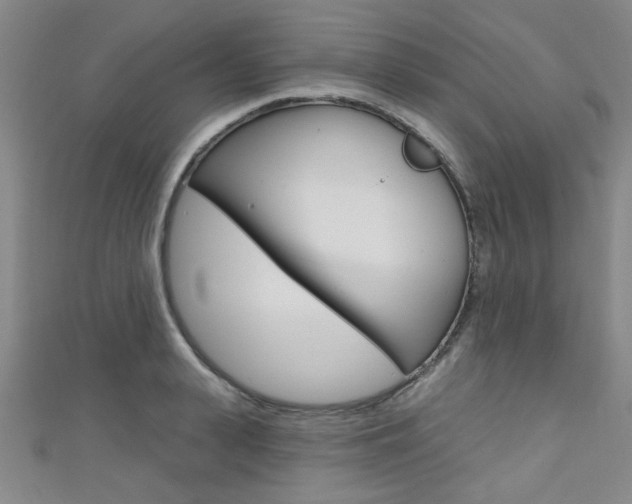 X0000111420943200907131017