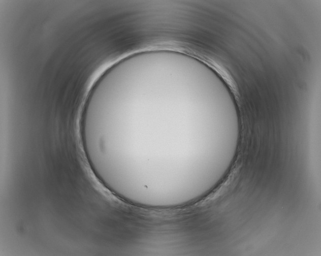 X0000111420944200907131017