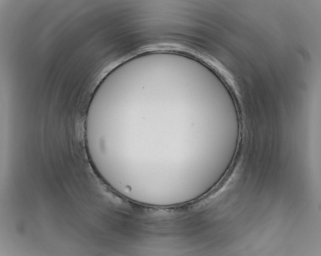 X0000111420945200907131017