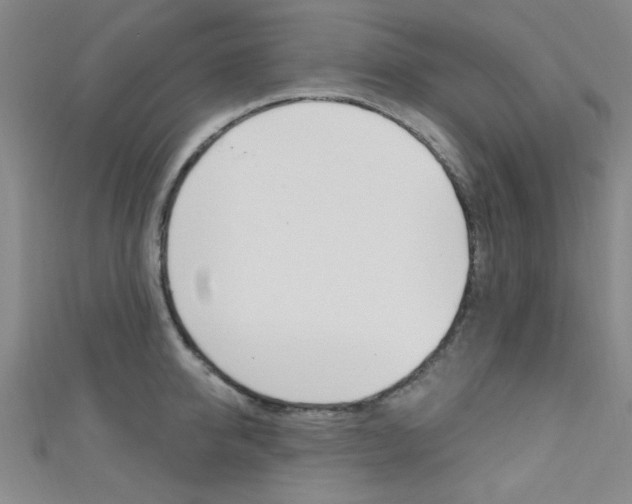 X0000111420950200907131017