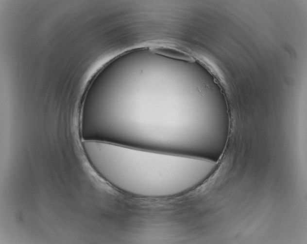X0000111420952200907131017