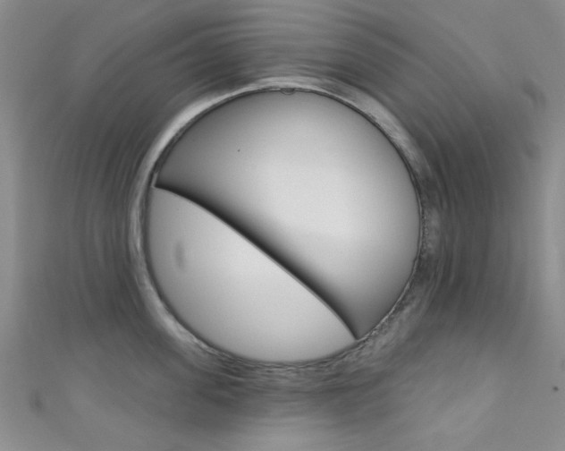 X0000111420955200907131017