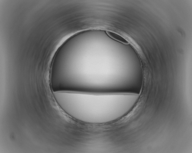X0000111420956200907131017
