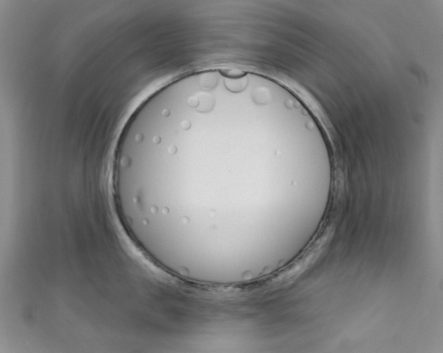 X0000111420957200907131017