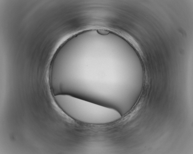 X0000111420958200907131017