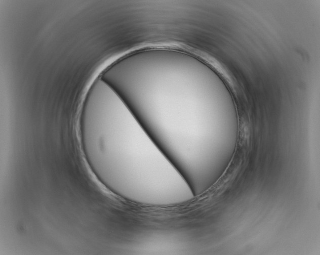 X0000111420959200907131017