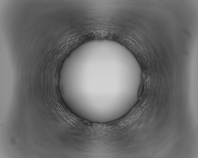 X0000111420961200907131017