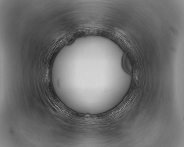 X0000111420964200907131017