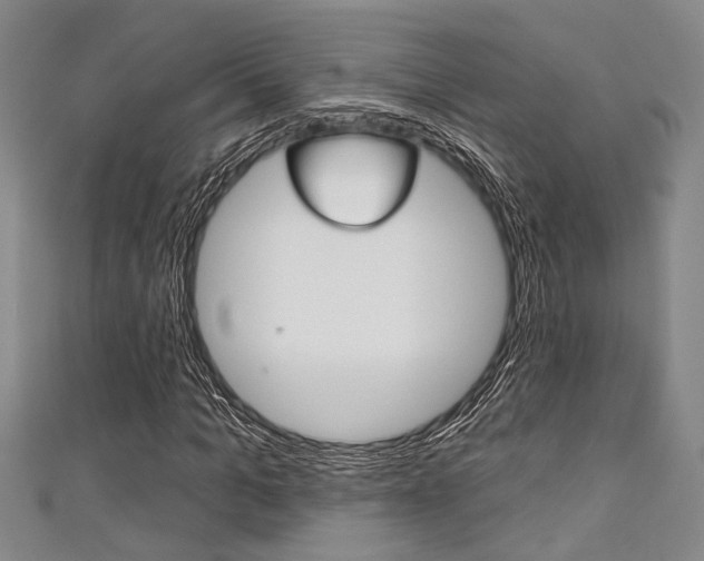 X0000111420965200907131016