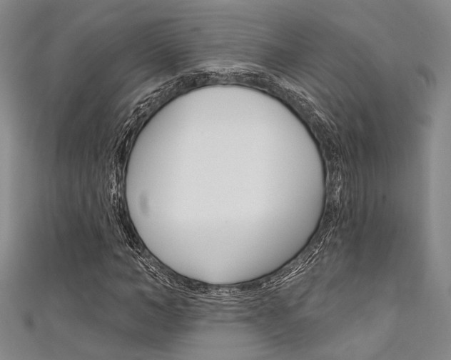 X0000111420966200907131016
