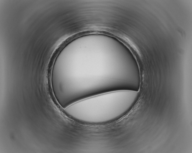 X0000111420972200907131016