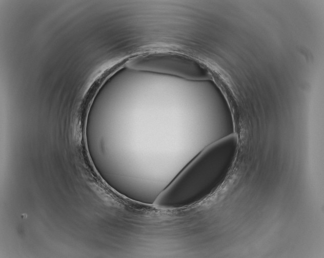 X0000111420973200907131016